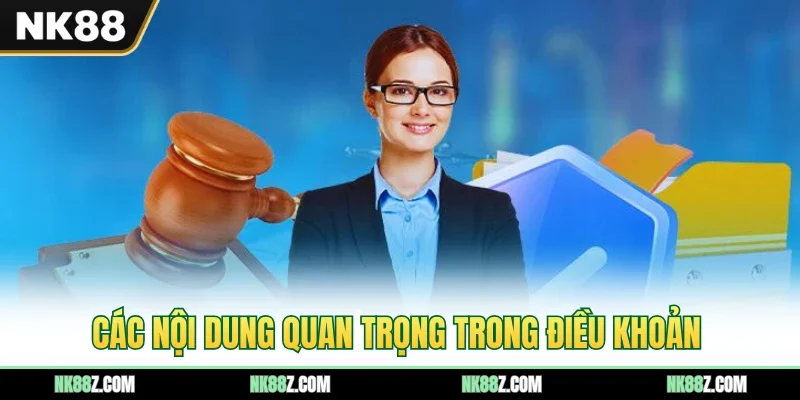 Các nội dung quan trọng trong điều khoản