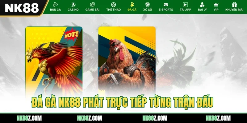 Đá gà NK88 phát trực tiếp từng trận đấu