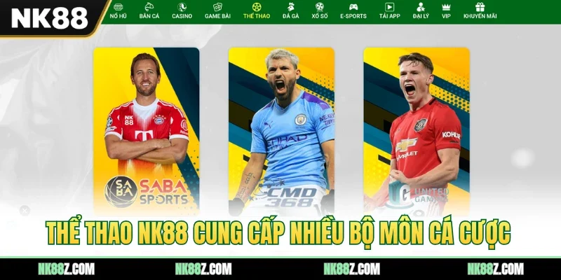 Thể thao NK88 cung cấp nhiều bộ môn cá cược